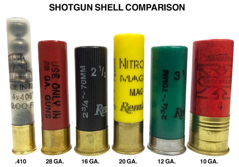 Shot Shell Comparison – Firearm Review