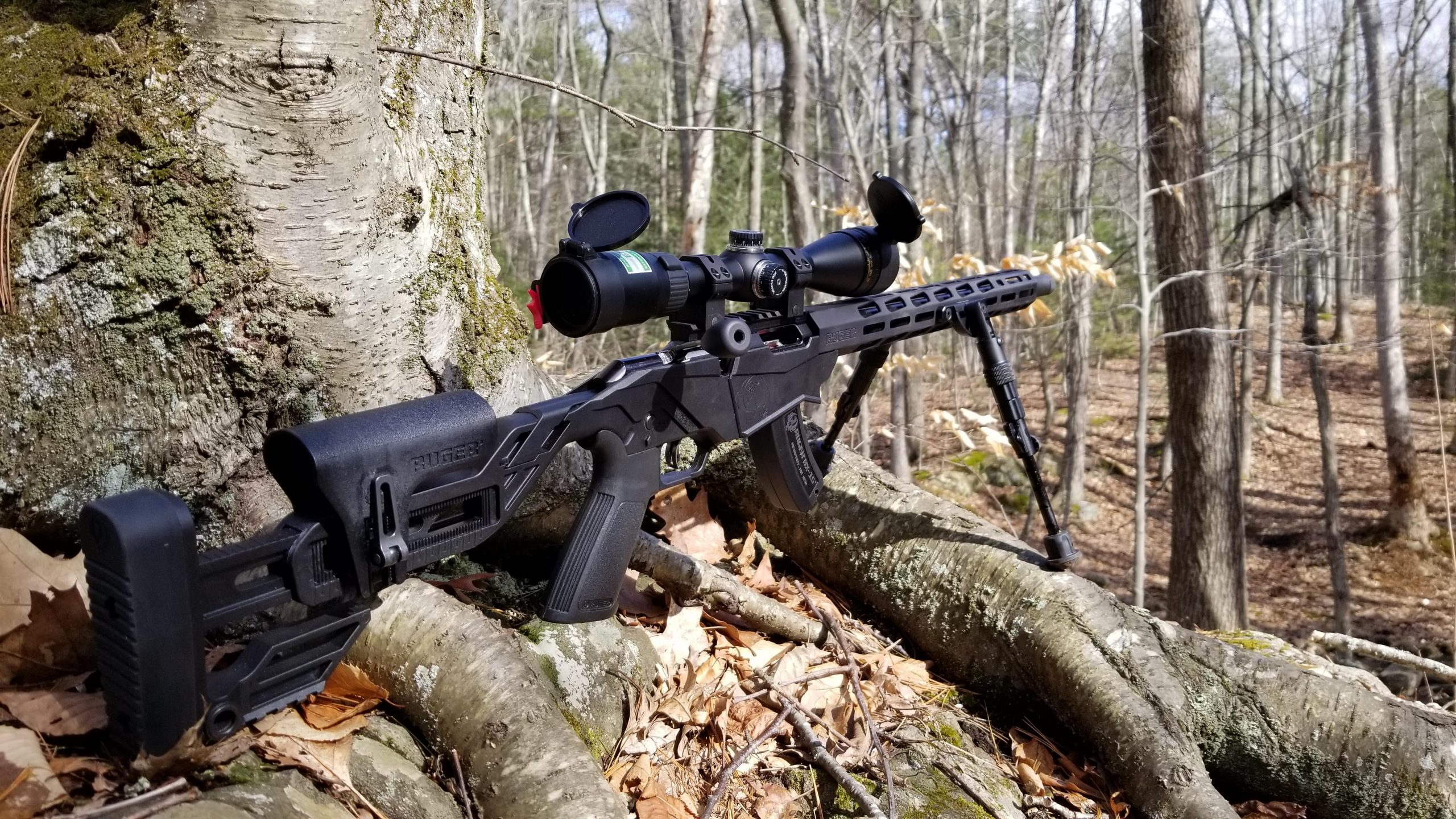 Ruger Precision Rimfire