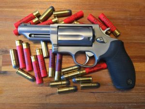 Taurus Judge